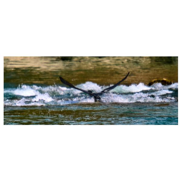 PHOTO84, CLUB, 84 , LUBERON